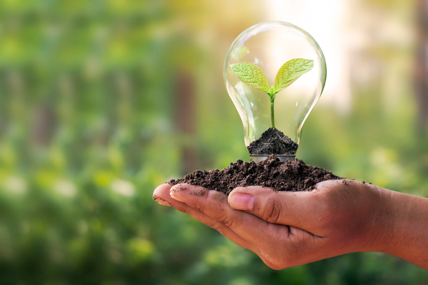 A light bulb for sustainability